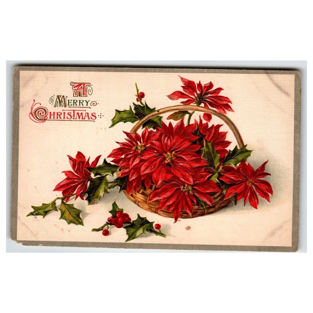 Vintage 1907 Embossed Poinsettia Basket Christmas Postcard, Posted Germany